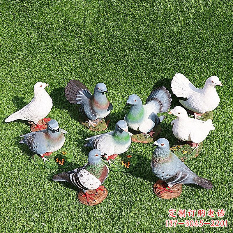 宁波和平鸽毕加索激发的美好灵感