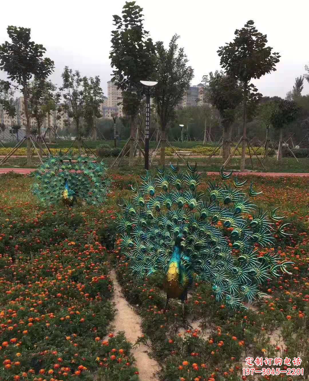 宁波不锈钢彩绘孔雀雕塑