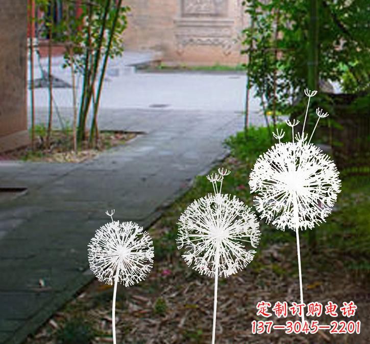 宁波不锈钢蒲公英点亮城市之美