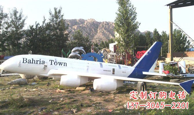 宁波静静躺在大地上的不锈钢飞机雕塑