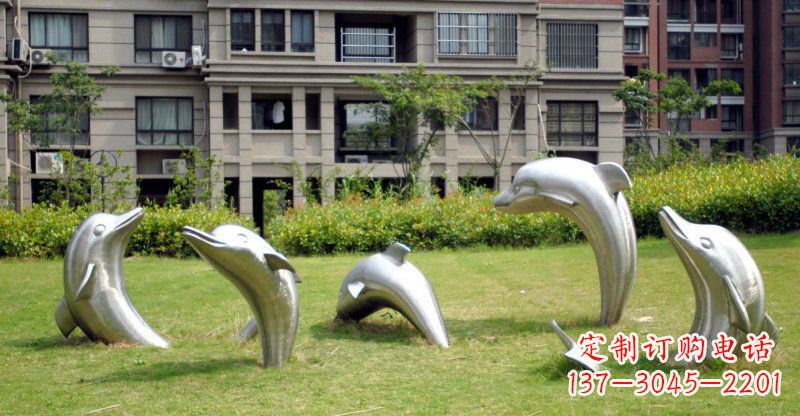 宁波海豚的浪漫