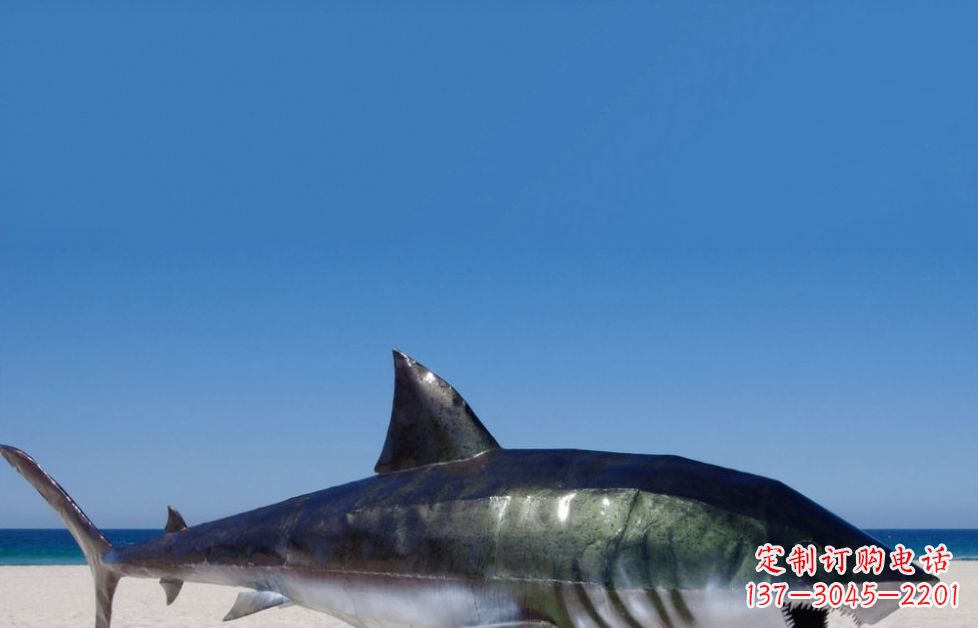 宁波海洋生物之美——不锈钢鲨鱼雕塑