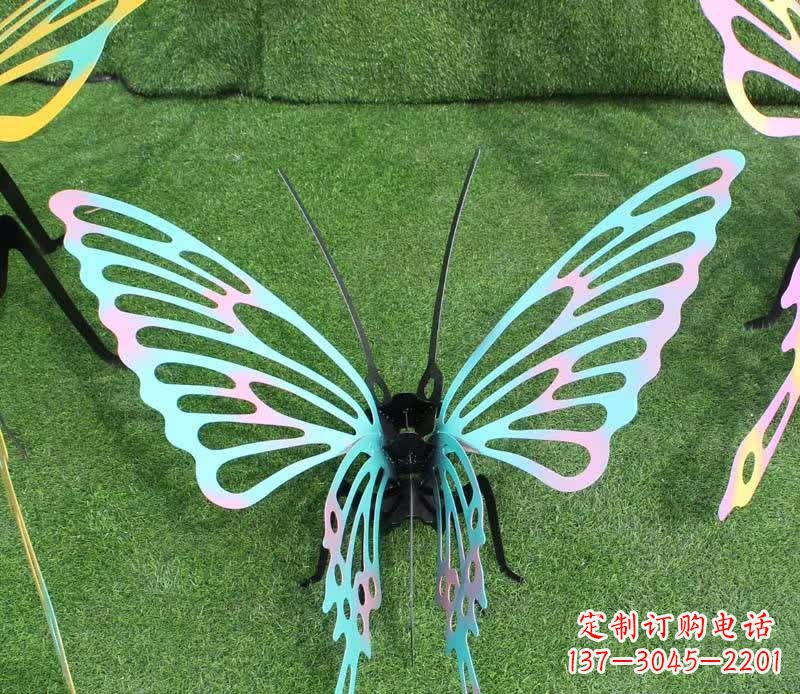 宁波彩色不锈钢镂空蝴蝶雕塑精美又充满生机
