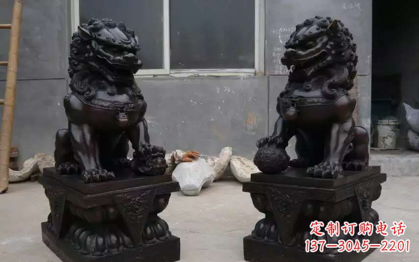 宁波踩球镇的狮子之家
