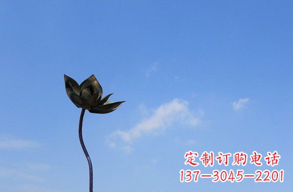 宁波公园不锈钢荷花雕塑