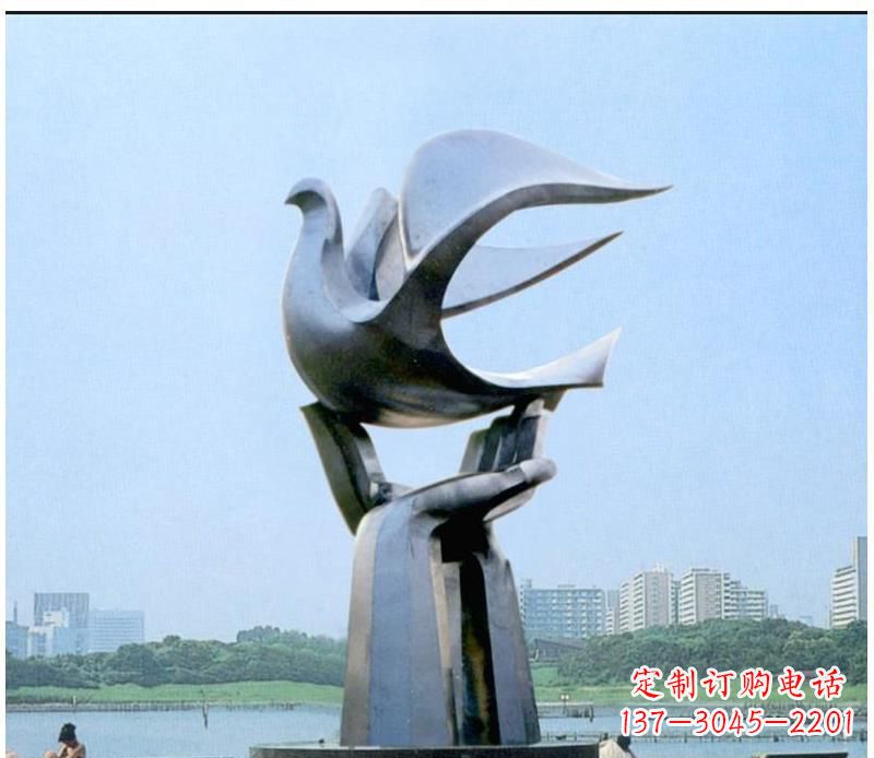 宁波静谧之鸽,传递和平象征~