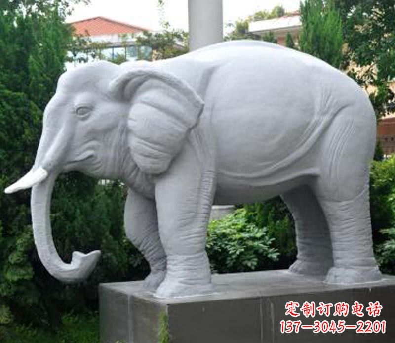 宁波公园动物大理石大象石雕 (5)