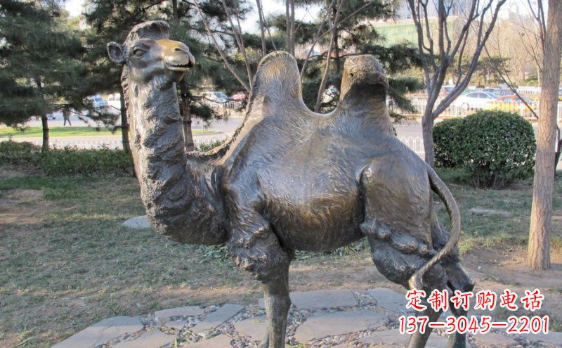 宁波铜骆驼雕塑——浓缩自然美丽
