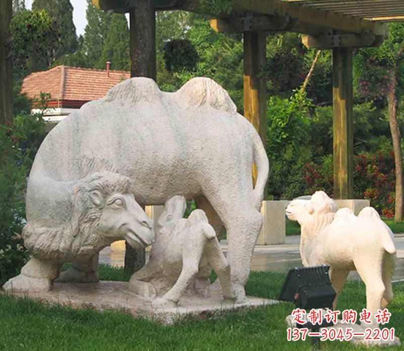 宁波公园骆驼一家石雕