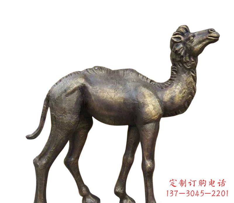 宁波奇美洁净的骆驼铜雕