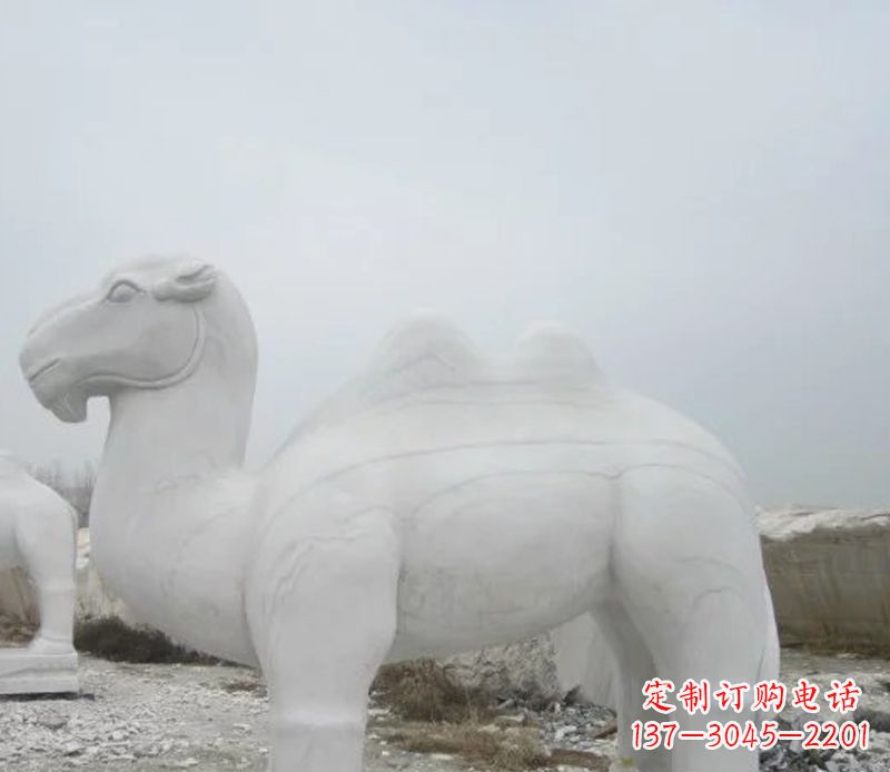 宁波汉白玉骆驼石雕塑,装点家居空间
