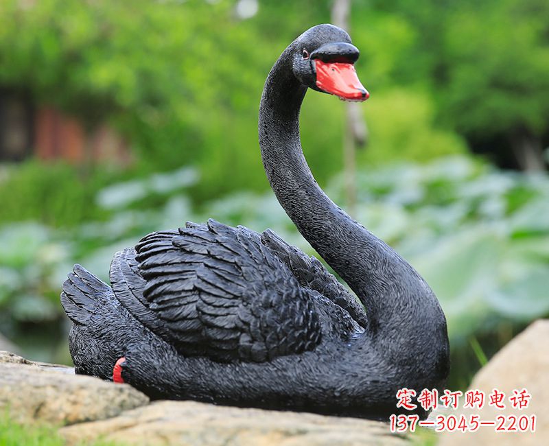 宁波精致高端的黑色天鹅雕塑