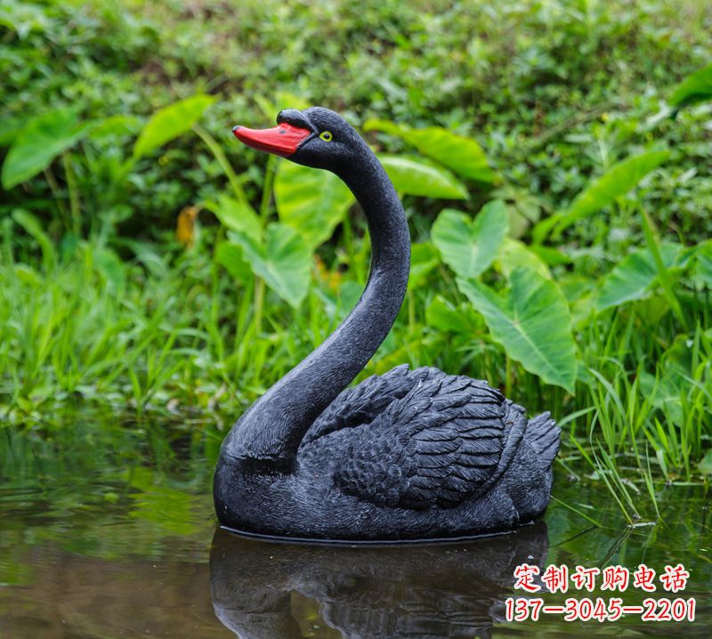 宁波黑天鹅仰脖款-园林水塘水景装饰动物摆件