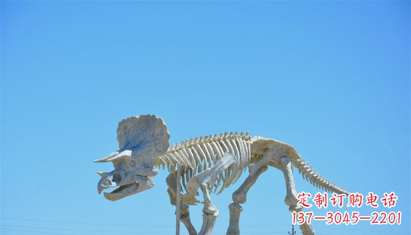 宁波玻璃钢恐龙雕塑——悠久历史瑰宝