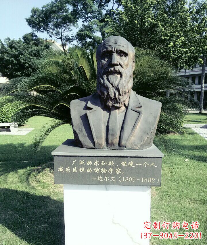 宁波科学家达尔文胸像铜雕