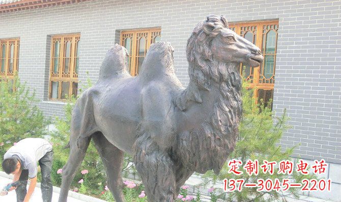 宁波精美的骆驼铜雕,提升您的公园气质