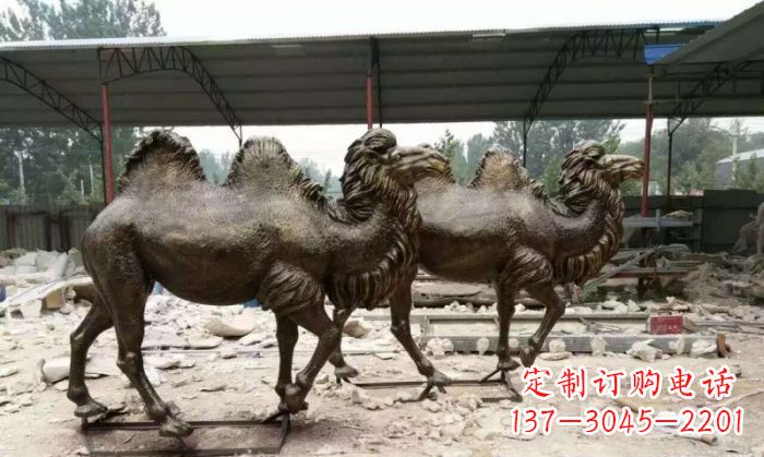 宁波典雅优美的骆驼铜雕