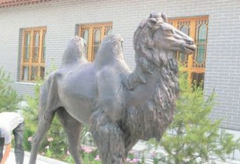宁波精美的骆驼铜雕，提升您的公园气质