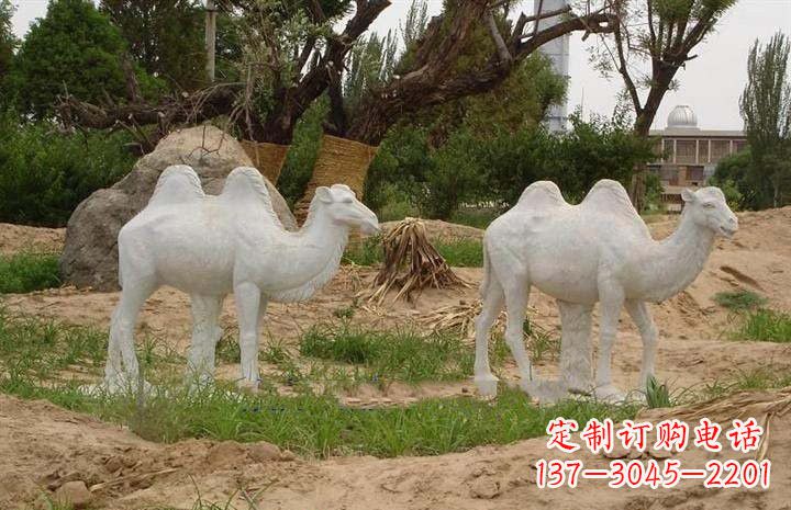 宁波欣赏大自然,石雕骆驼公园动物雕塑邀请您