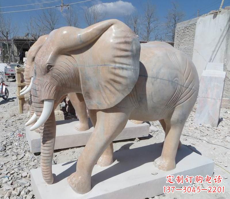宁波晚霞红卷鼻大象