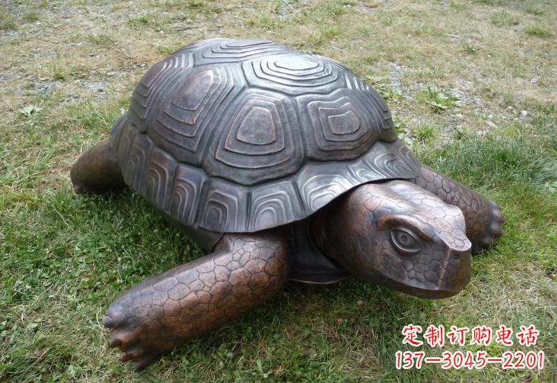宁波乌龟铜雕222