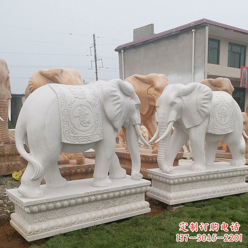 宁波学校石雕大象